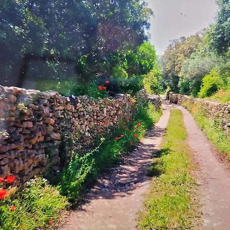 Tour Casella بيت للعطل *